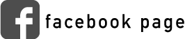 facebook page
